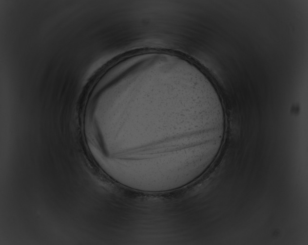 X0000091851070200710031015