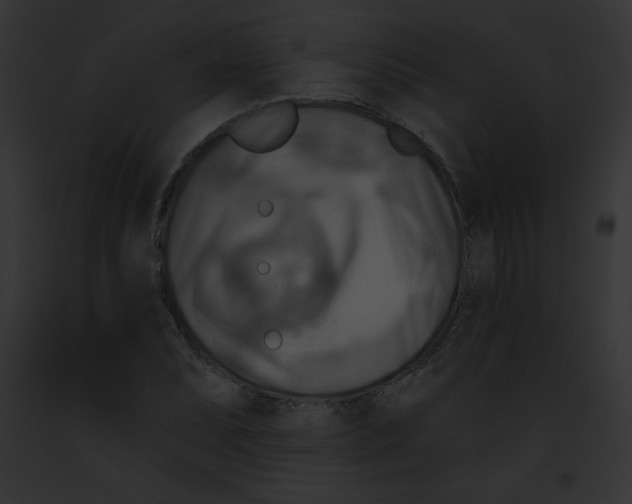 X0000091851071200710031015