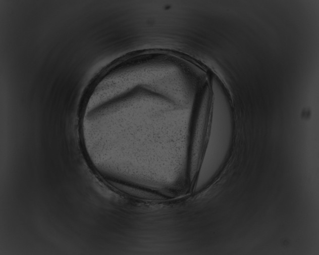 X0000091851072200710031015