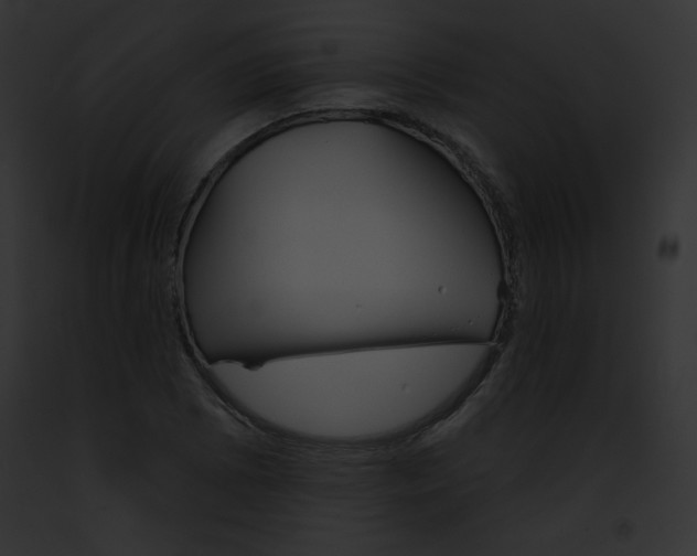 X0000091851073200710031015