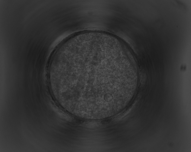 X0000091851074200710031015