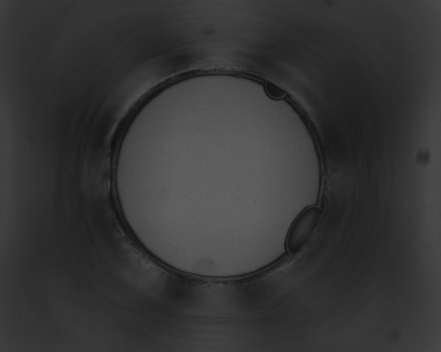 X0000091851075200710031015