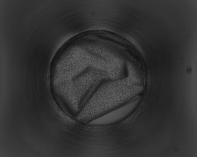 X0000091851076200710031015