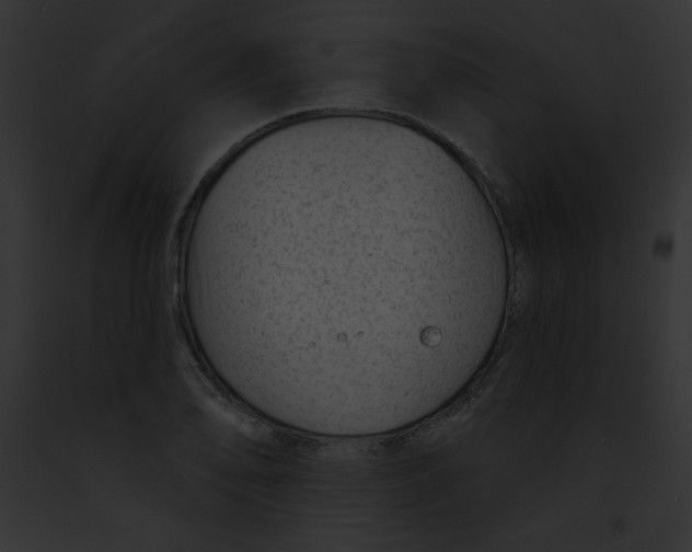 X0000091851078200710031015