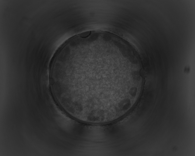 X0000091851079200710031015