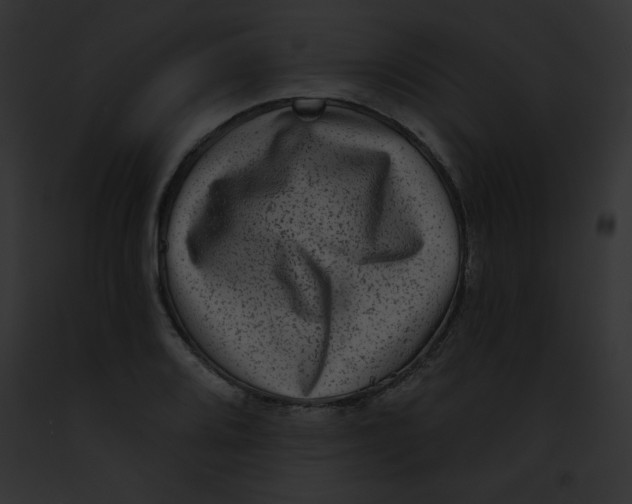 X0000091851080200710031015