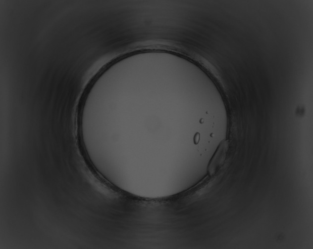 X0000091851082200710031015