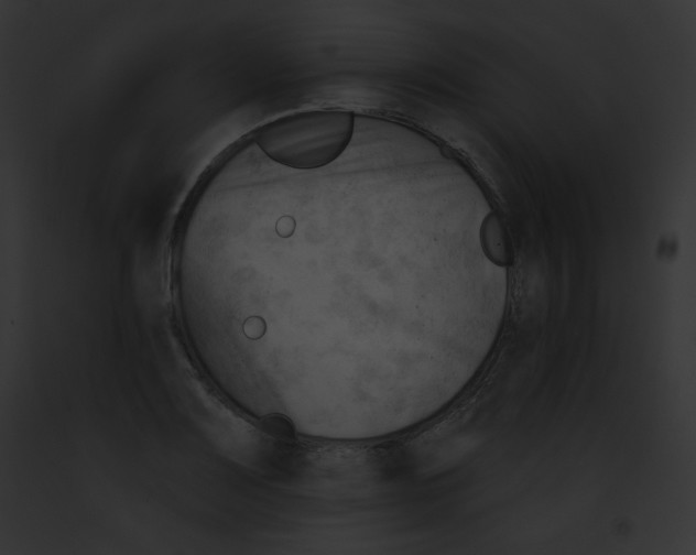 X0000091851083200710031015