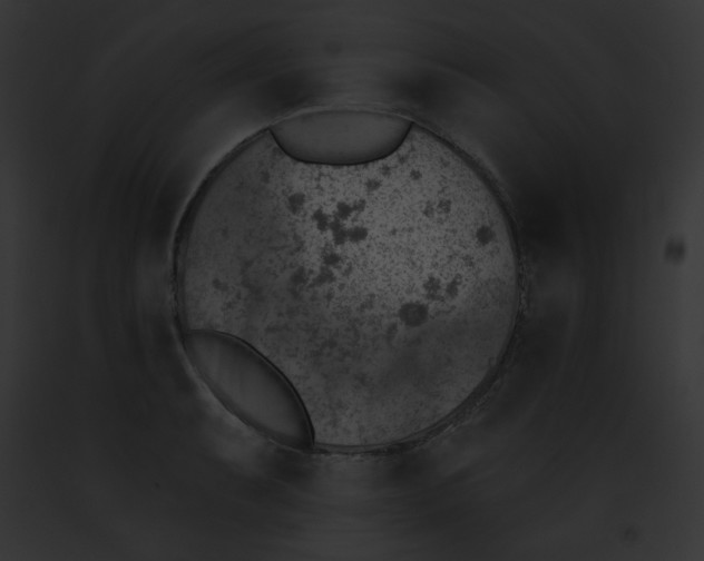 X0000091851087200710031015