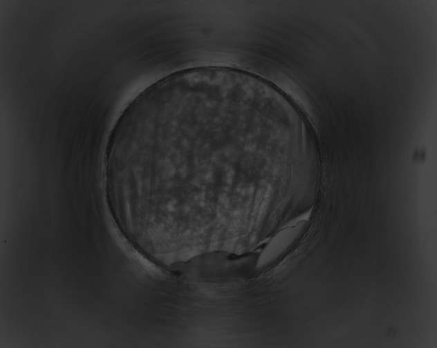 X0000091851088200710031015