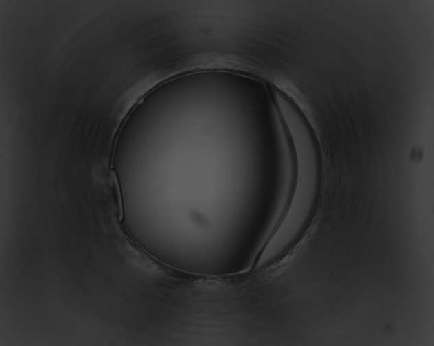 X0000091851089200710031015