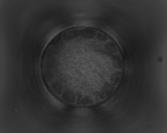 X0000091851091200710031015