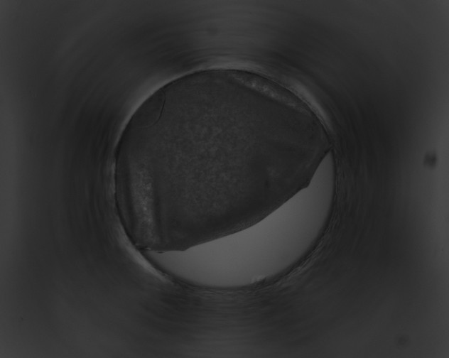 X0000091851092200710031015
