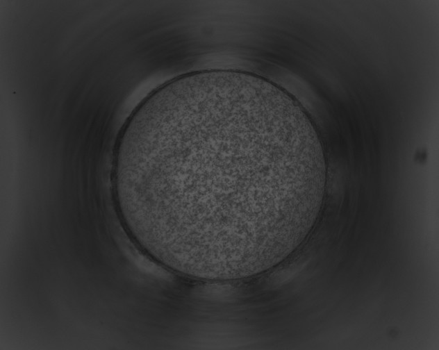 X0000091851094200710031015