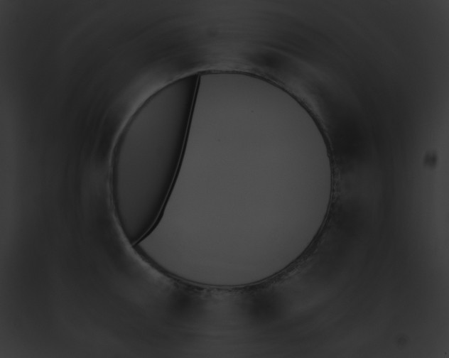 X0000091851095200710031015