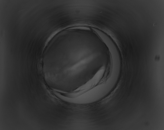 X0000091851097200710031015