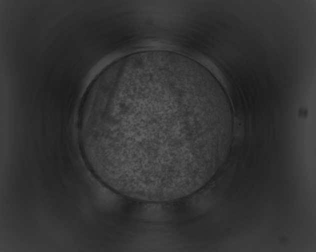 X0000091851098200710031015