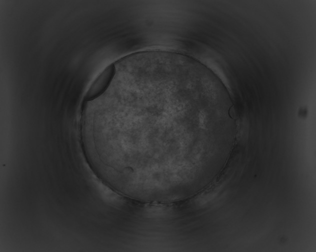 X0000091851099200710031015