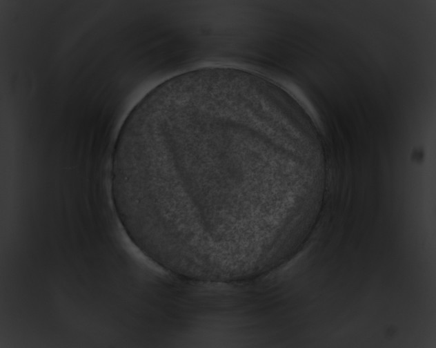 X0000091851100200710031015