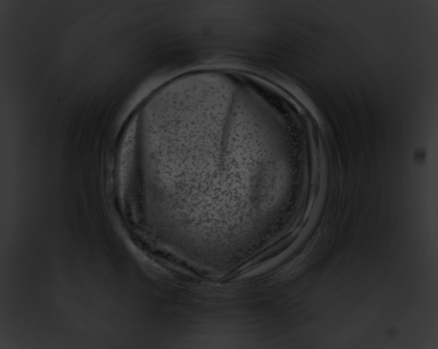 X0000091851101200710031015