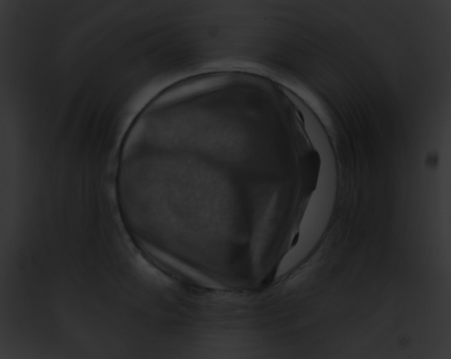 X0000091851102200710031015