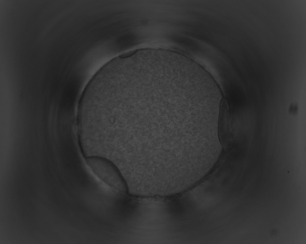 X0000091851103200710031015