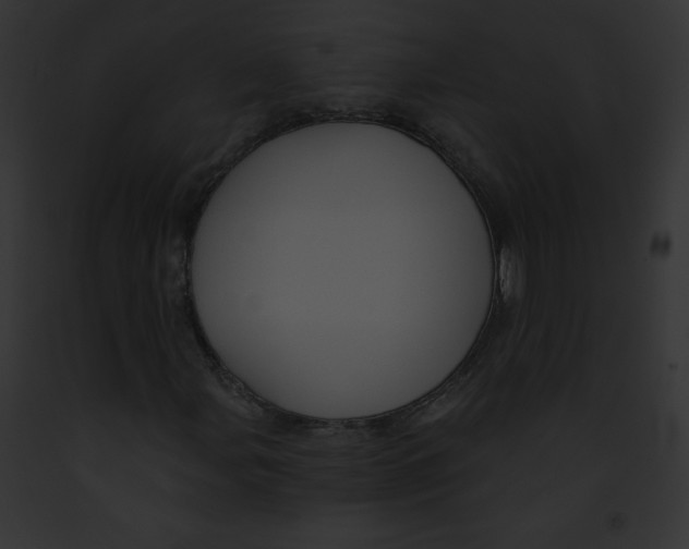 X0000091851107200710031014