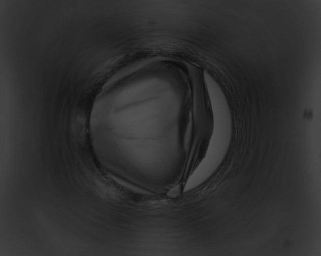 X0000091851108200710031014