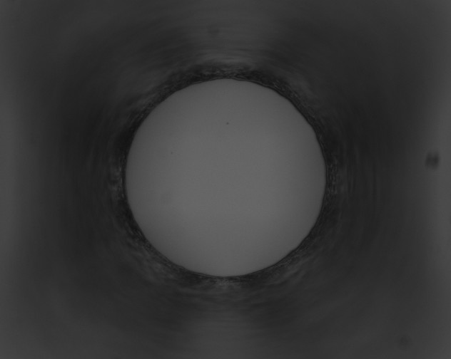 X0000091851109200710031014