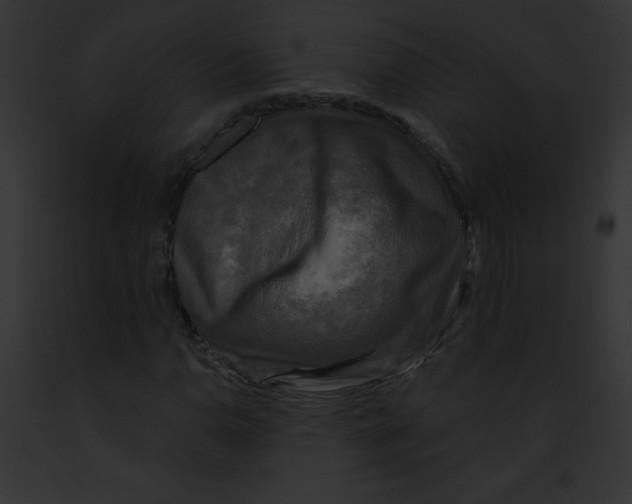 X0000091851110200710031014
