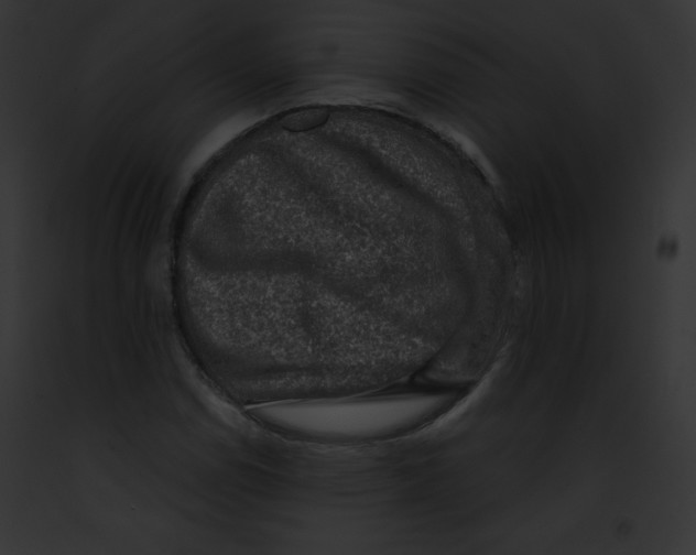 X0000091851114200710031014