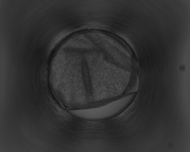 X0000091851115200710031014