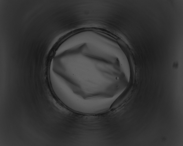 X0000091851116200710031014