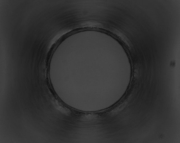 X0000091851117200710031014