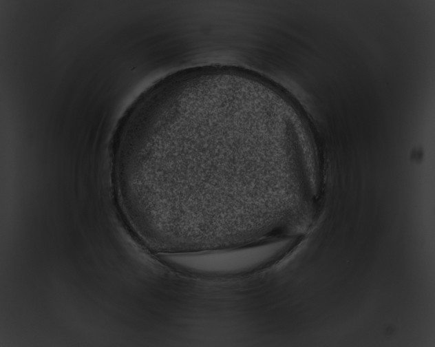 X0000091851118200710031014
