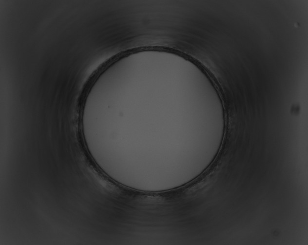 X0000091851119200710031014
