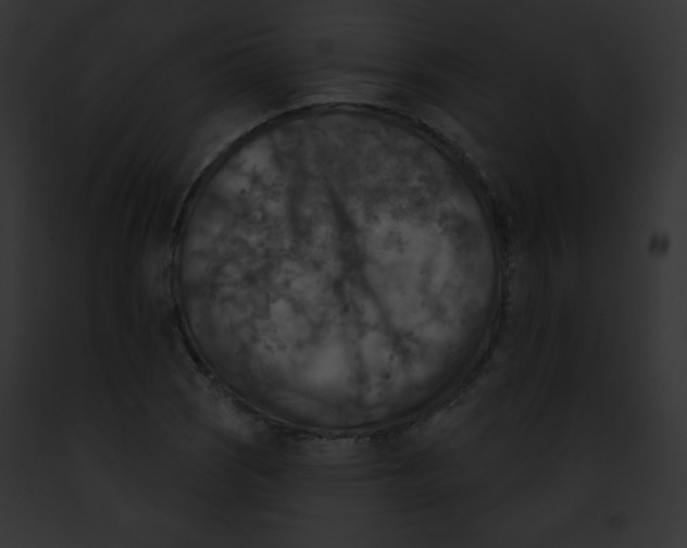 X0000091851121200710031014