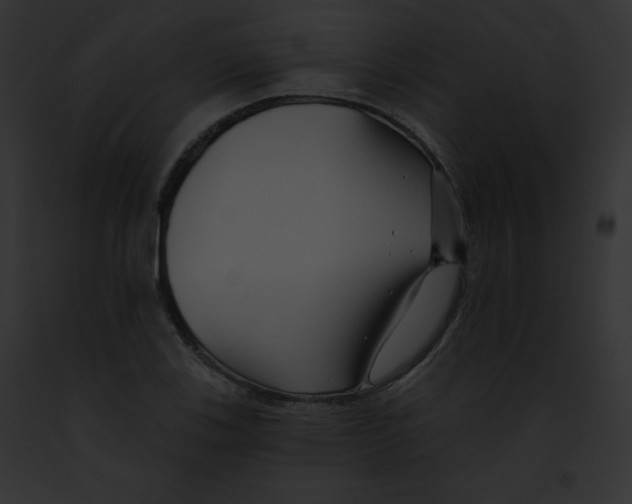 X0000091851123200710031014