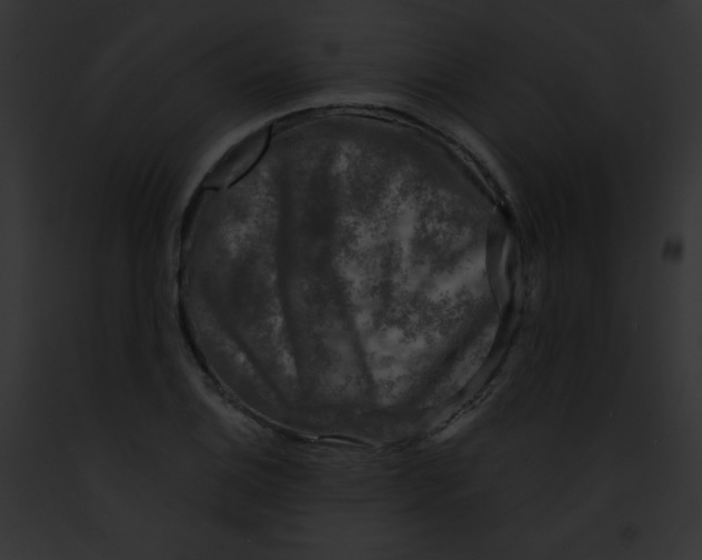 X0000091851124200710031014