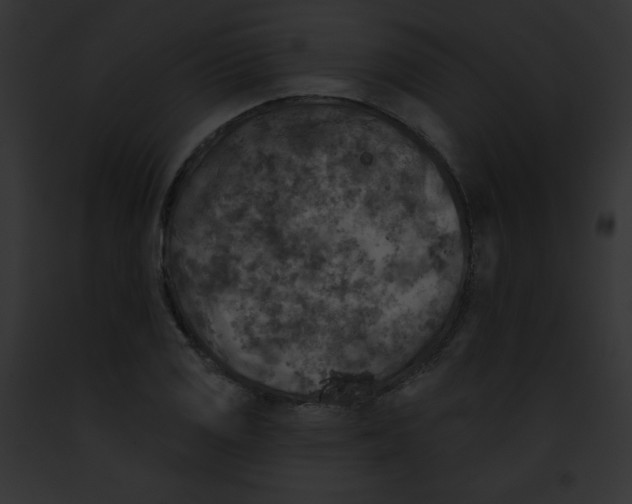 X0000091851125200710031014