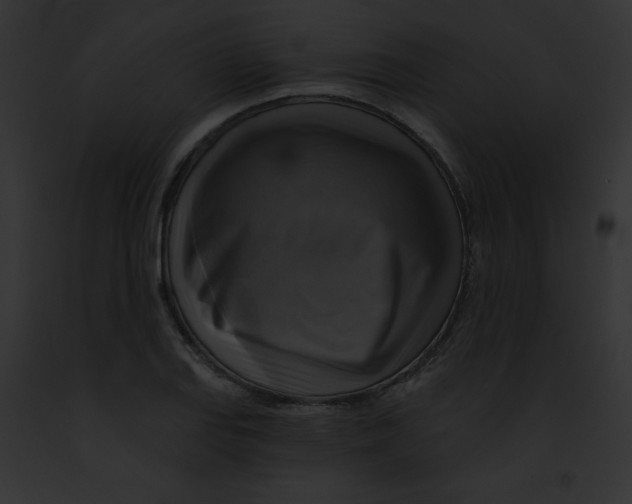 X0000091851127200710031014