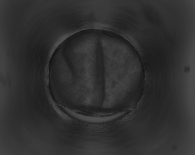 X0000091851128200710031014
