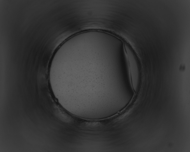X0000091851129200710031014