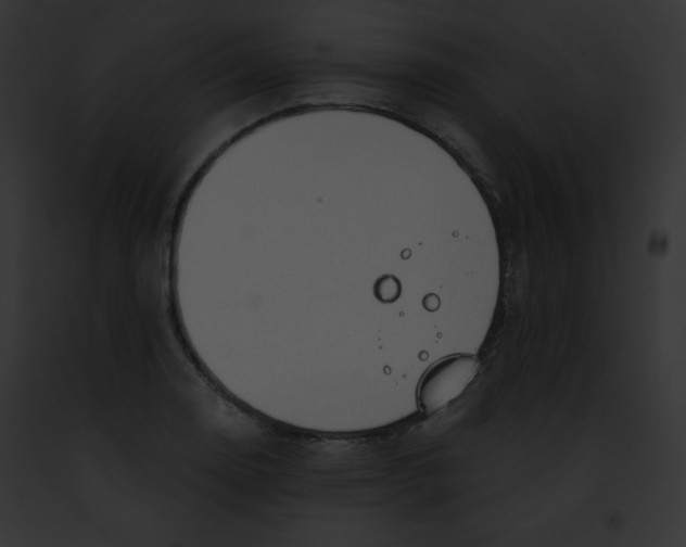 X0000091851130200710031014