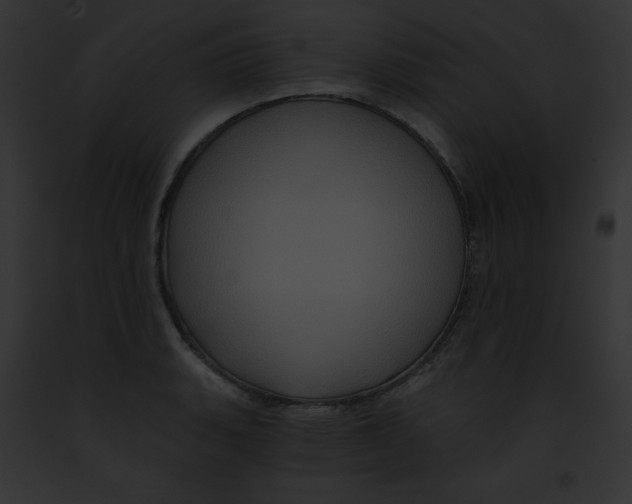X0000091851135200710031015