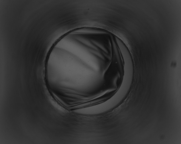 X0000091851136200710031015