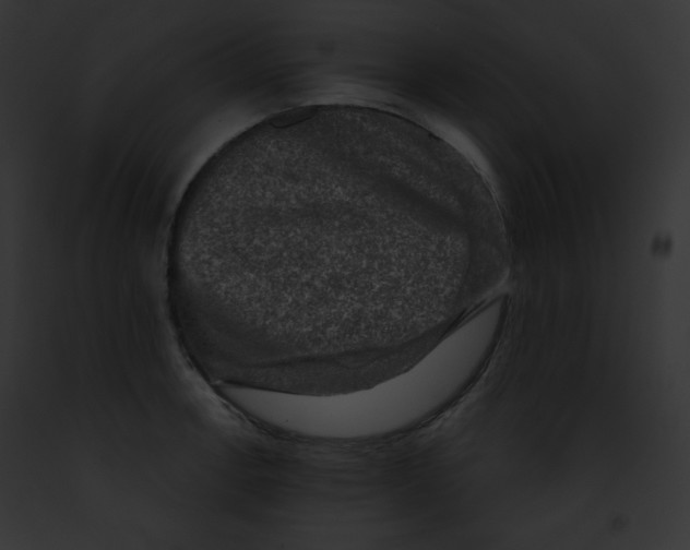X0000091851138200710031015
