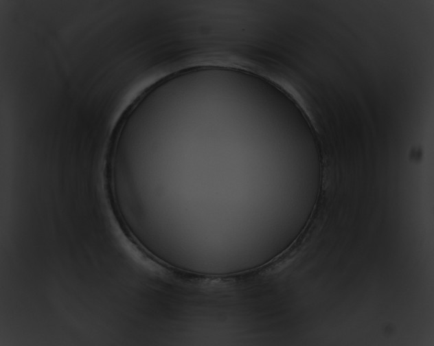 X0000091851139200710031015