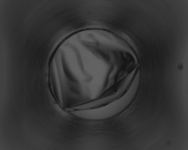 X0000091851140200710031015