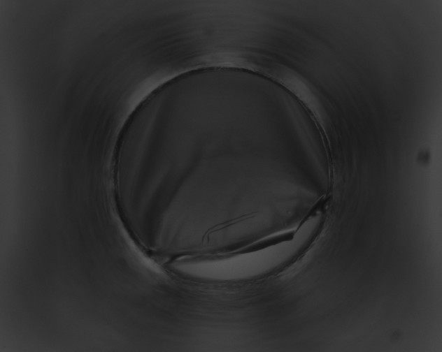 X0000091851141200710031015